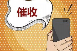 泰州为什么选择专业追讨公司来处理您的债务纠纷？